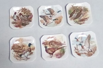 6 Royal Adderly Floral Bone China Wild Birds Coaster/trinket Dishes  212/C3