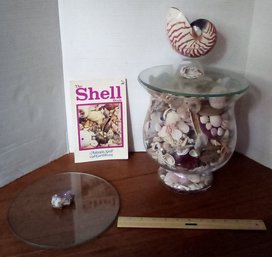 Fantastic Seashell & Collectible Stones In Beautiful Glass Footed Lidded Bowl & Seashell Guide