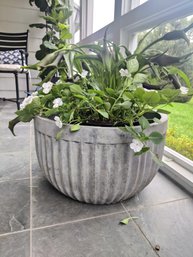 Impatiens And Calla Lily Plants In A Large Fluted Cement Planter