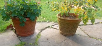 Beautiful Pair Of Vintage Terracotta Planters With Lovely Disigns