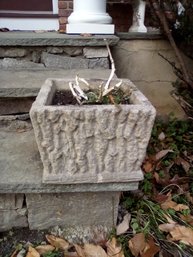 Concrete Planter For Year Round Outdoor Display