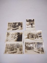 Lumberjack Photographs