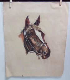 Fantastic Original Horse Head Portrait In Pastel Ready To Frame     DC/CVBK A-table