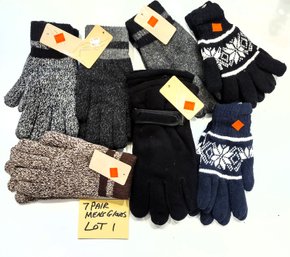 WHOLSALERS CLOSEOUT - BRAND NEW LOT OF 6 THICK AND WARM WINTER MENS GLOVES -  $125.00 RETAIL - LOT # 1