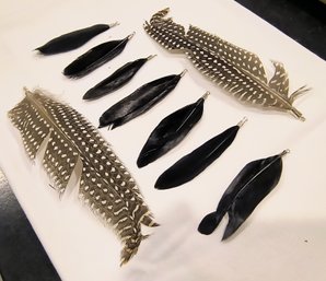 Lot Of Feathers For Jewelry Making