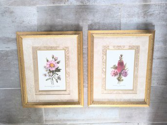 Pair Of Floral Prints With Double Fabric Mat And Ornate Frame