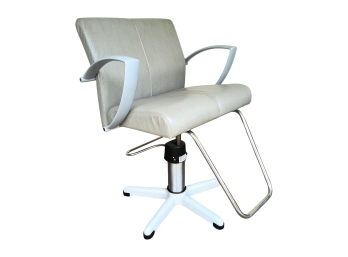 Adjustable Salon Chair/barber Chair