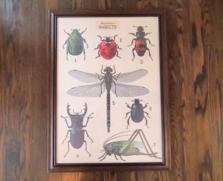 Colorful Poster Print Of Insects