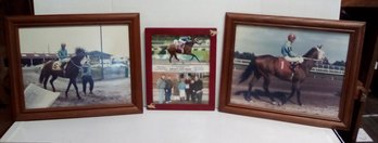 3 Framed Sonny's Stable Horse Racing Related Photos - Race Horses & Jockeys Plus Race Detail      LP/WAB