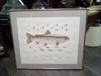 Ltd. Ed. Print 825/1500 Print Signed Eldridge Hardie 1970 Of Rainbow Trout & Lures PB/WAB