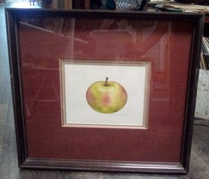 Artist Pencil Signed Watercolor Of An Apple - Wood Framed With Multiple Mats BB/WAB