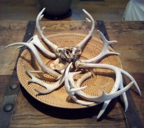 Beautiful Woven Basket With Deer Horns     LR