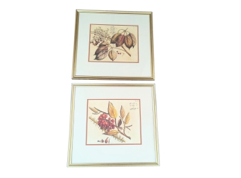 Pair Of Beautifully Framed Lithographic Botanical Prints