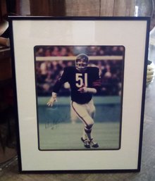 Dick Butkus #51 Autographed Large Framed Print - Former Chicago Bears Linebacker LP/WAD