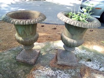 Matching Vintage Outdor Weathered Cast Iron Planters - One With Perennial Sedum Growing  (Front Yard)