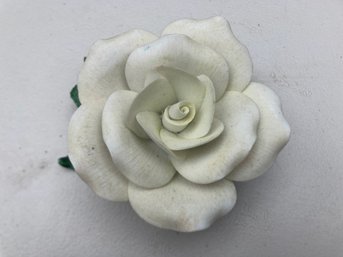 Porcelain White Rose By Pristine