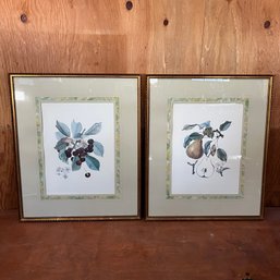 A Pair Of Antique Botanical Prints - Nicely Framed