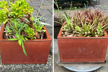 Pair Of Square Planters With Healthy Plants