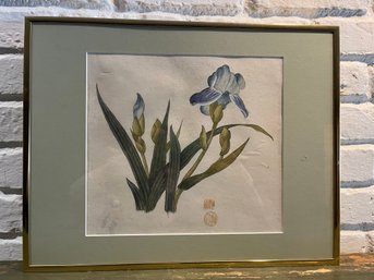 Framed Watercolor Of Irises