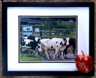 FRAMED NEWTOWN CONNECTICUT DAIRY COW PHOTOGRAPH: Ferris Acres Farm Creamery, Signed Linda Lubinsky 15.25x12.25