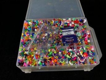 Beads In Organizer Case