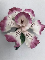 Porcelain Orchid Lavender By Nippon