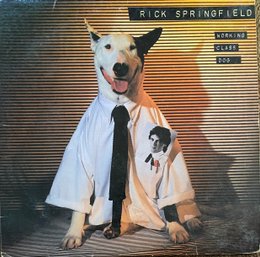 RICK SPRINGFIELD - WORKING CLASS DOG - VINYL RECORD LP AFL 1-3697