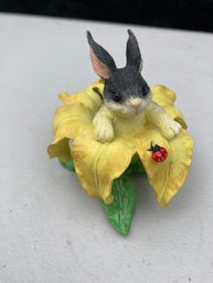 Bunny In A Lilly With A Friendly Lady Bug For Silvestri  Too Cute