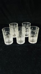 Set Of 5 Etched Drinking Glasses