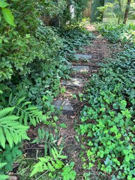 A Bluestone Pathway In The Woods - Antique