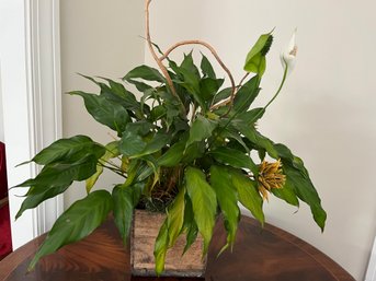 20' Tall  Peace Lily Plant In Rustic Wood Planter