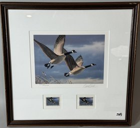 SIGNED CANADIAN GEESE PRINT W/ STAMPS