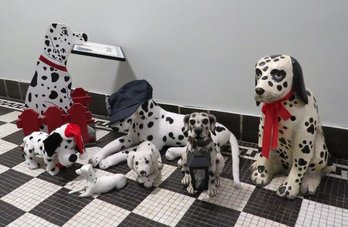 Escapees From 101 Dalmations - Look At Em' All....