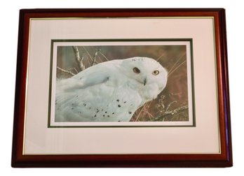 Carl Brenders Signed Snow Owl Lithograph 1995