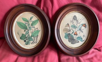 Pair Of Antique Framed Floral Prints - One With Butterflies