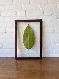 Leaf Art Glass Frame -