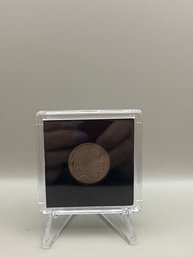 1919 Buffalo Nickel In Plastic Case