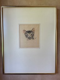 Signed D T Small Pencil Drawing Of Screaming Cat.