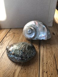 2 Beautiful Abalone Shells