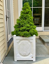 Stunning  4ft 10in FRONTGATE CHANTAL Planter With Live Bush #2