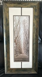 Framed Photograph Of Trees Lining Lane