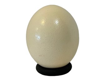 Ostrich Egg On Black Display Ring