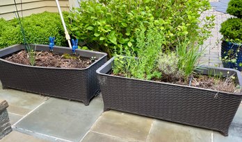 Pair Of Heavy Duty Gardening Resin Planters With Live Herbs!!
