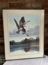 Lithograph Of Canada Geese