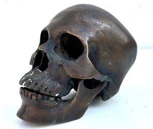 A Cast Plaster Skull