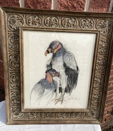 Original PEGGY WESTPHAL Colored Charcoal Illustration- Pair Of King Vultures- Well Listed Artist Large Example