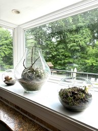 Three Glass Terrariums From Terrain Of Westport