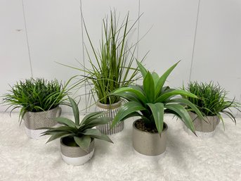 Five Faux Plants In Stone Grey & White Pots