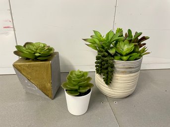 Three Faux Succulents In Attractive Pots