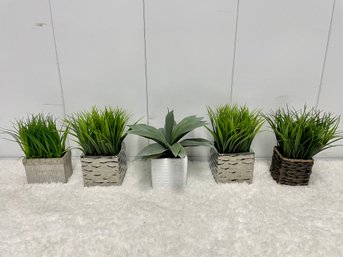 Five Potted Faux Plants In Square Planters